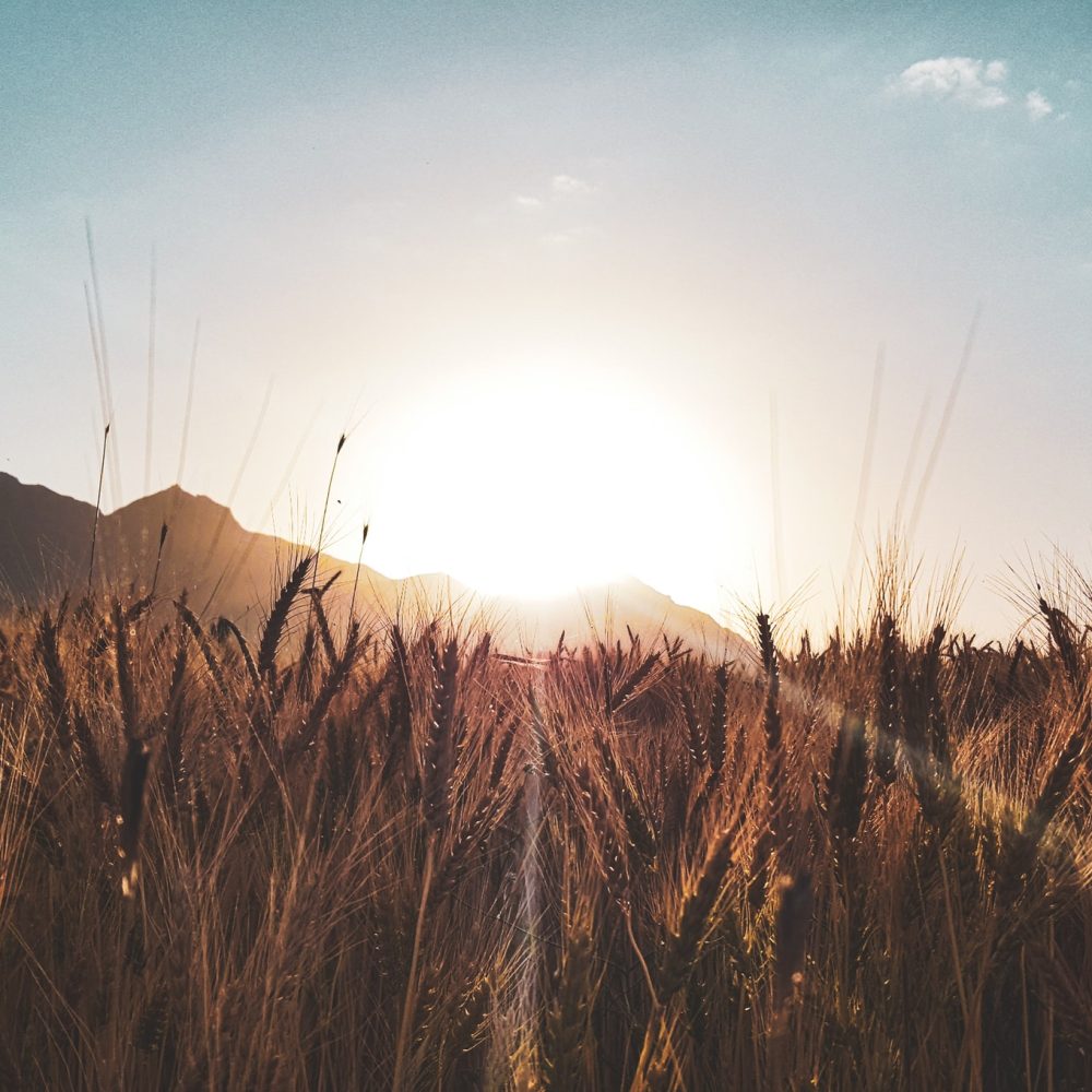 amir-kalhor-FAgzuQMTU1Y-unsplash